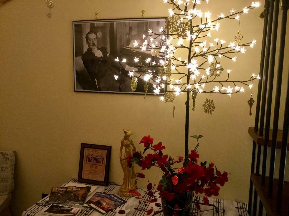 La Petite Maison Turandot Camaiore Kültér fotó